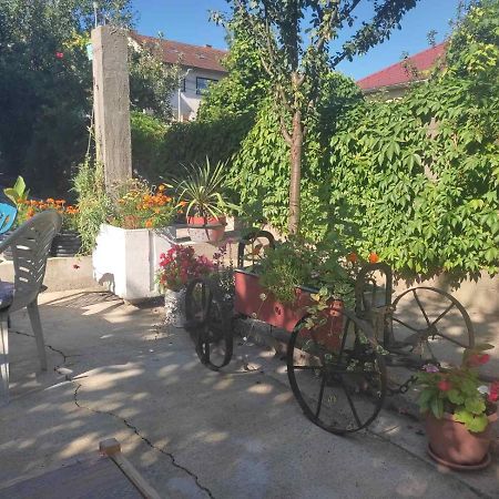 Apartman Hujic Leilighet Bihać Eksteriør bilde