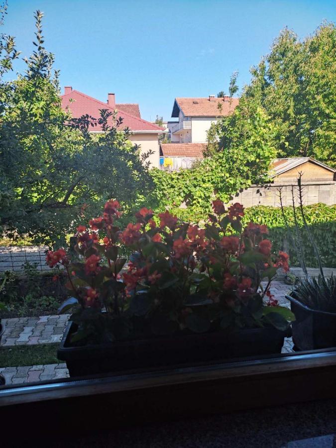 Apartman Hujic Leilighet Bihać Eksteriør bilde